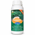 Herbicida Bazooka Plus Anasac Jardín 500 cc